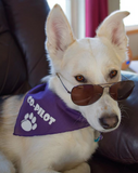 CoPilot Bandana - FunDogBandanas