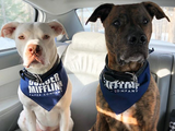 Dunder Mifflin Bandana - FunDogBandanas