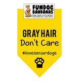 Wholesale Pack - Gray Hair Don't Care Bandana