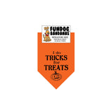 Wholesale 10 Pack - I do Tricks for Treats Bandana - Orange Only - FunDogBandanas
