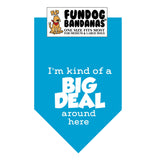 Turquoise one size fits most dog bandana with I'm Kind of a Big Deal Around Here in white ink.