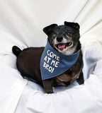 Come at Me Bro! Bandana - FunDogBandanas