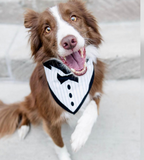 Tuxedo with Black Tie Bandana