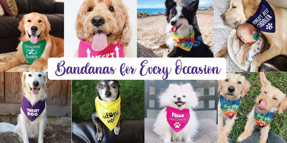 My Humans are Getting Me a Baby – FunDog Bandanas (DogPerk)