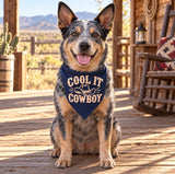 Wholesale Pack - Cool It Cowboy Bandana
