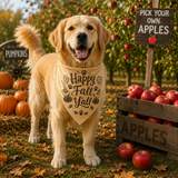 Wholesale Pack - Happy Fall Y'all Bandana