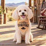 Wholesale Pack - Little Cowpoke Bandana