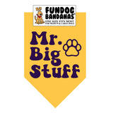 Mr. Big Stuff Bandana
