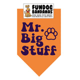 Mr. Big Stuff Bandana