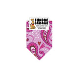 Wholesale Pack - Pink Paisley