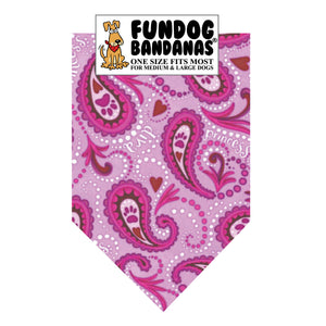 Wholesale Pack - Pink Paisley