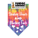 Wholesale Pack - Stealing Hearts and Blasting Farts - Assorted Colors