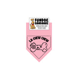 Wholesale Pack - La Chew Chew Bandana - Assorted Colors