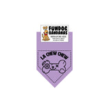 Wholesale Pack - La Chew Chew Bandana - Assorted Colors