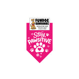 Stay Pawsitive Bandana