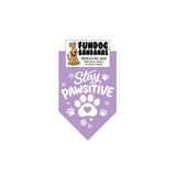 Stay Pawsitive Bandana