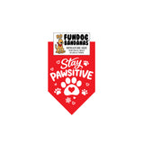 Stay Pawsitive Bandana