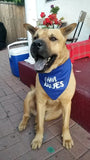 I HAVE ISSUES Bandana - FunDogBandanas