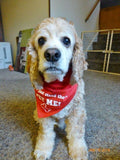 Don't Just Stand There; PET ME Bandana - FunDogBandanas