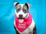 Does this bandana make my butt look big? Bandana - FunDogBandanas