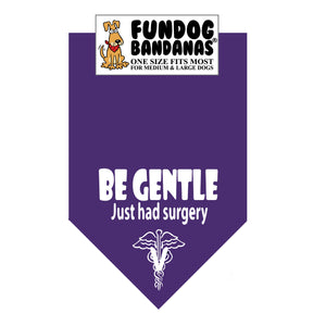 BE GENTLE; Just Had Surgery Dog Bandana - Limited Edition