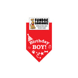 Wholesale Pack - Birthday Boy Bandana - Assorted Boy Colors
