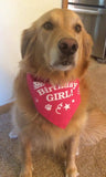 Birthday Girl Bandana - FunDogBandanas