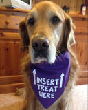 INSERT TREAT HERE Bandana - FunDogBandanas