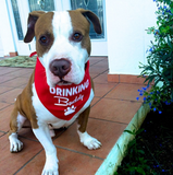 Drinking Buddy Bandana - FunDogBandanas