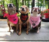 Daddy's Girl Bandana - FunDogBandanas