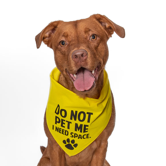 Wholesale Pack - DO NOT PET ME I need space. Bandana - Yellow Only