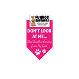 Wholesale Pack - Don't Look at Me; That Smell is Coming from My Dad Bandana