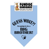 Wholesale 10 Pack - Guess What?! I'm going to be a Big Brother! Bandana - Light Blue Only - FunDogBandanas