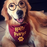 Hairy Pawter Bandana