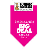 Hot Pink one size fits most dog bandana with I'm Kind of a Big Deal Around Here in white ink.