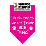 Hot Pink one size fits most dog bandana with I'm The Reason We Can't Have Nice Things and 2 paws in white ink.