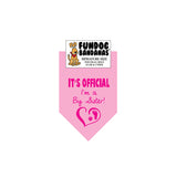 Wholesale Pack - It's OFFICIAL I'm a Big Sister! - Light Pink Only