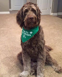 Kiss Me! I'm IRISH Bandana - FunDogBandanas