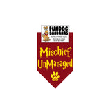 Mischief UnManaged Bandana