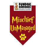 Wholesale Pack - HP Mischief UnManaged Bandana - Burgundy Only