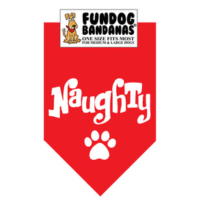 Wholesale 10 Pack - Naughty Bandana - Assorted Colors
