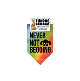 Wholesale 10 Pack - Never Not Begging Bandana