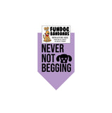 Wholesale 10 Pack - Never Not Begging Bandana