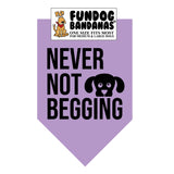 Wholesale 10 Pack - Never Not Begging Bandana