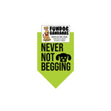 Wholesale 10 Pack - Never Not Begging Bandana
