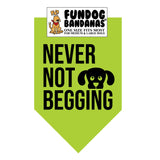 Wholesale 10 Pack - Never Not Begging Bandana