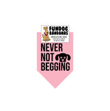 Wholesale 10 Pack - Never Not Begging Bandana