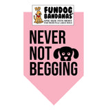 Wholesale 10 Pack - Never Not Begging Bandana