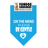 On the Mend, Please Be Gentle Dog Bandana - Limited Edition