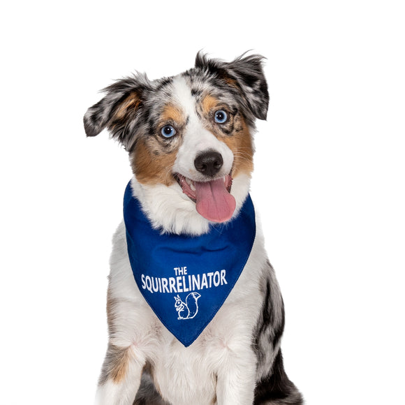 Wholesale Pack - The Squirrelinator Bandana - Assorted Colors